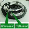LED pásek RGB + W, RGBW
